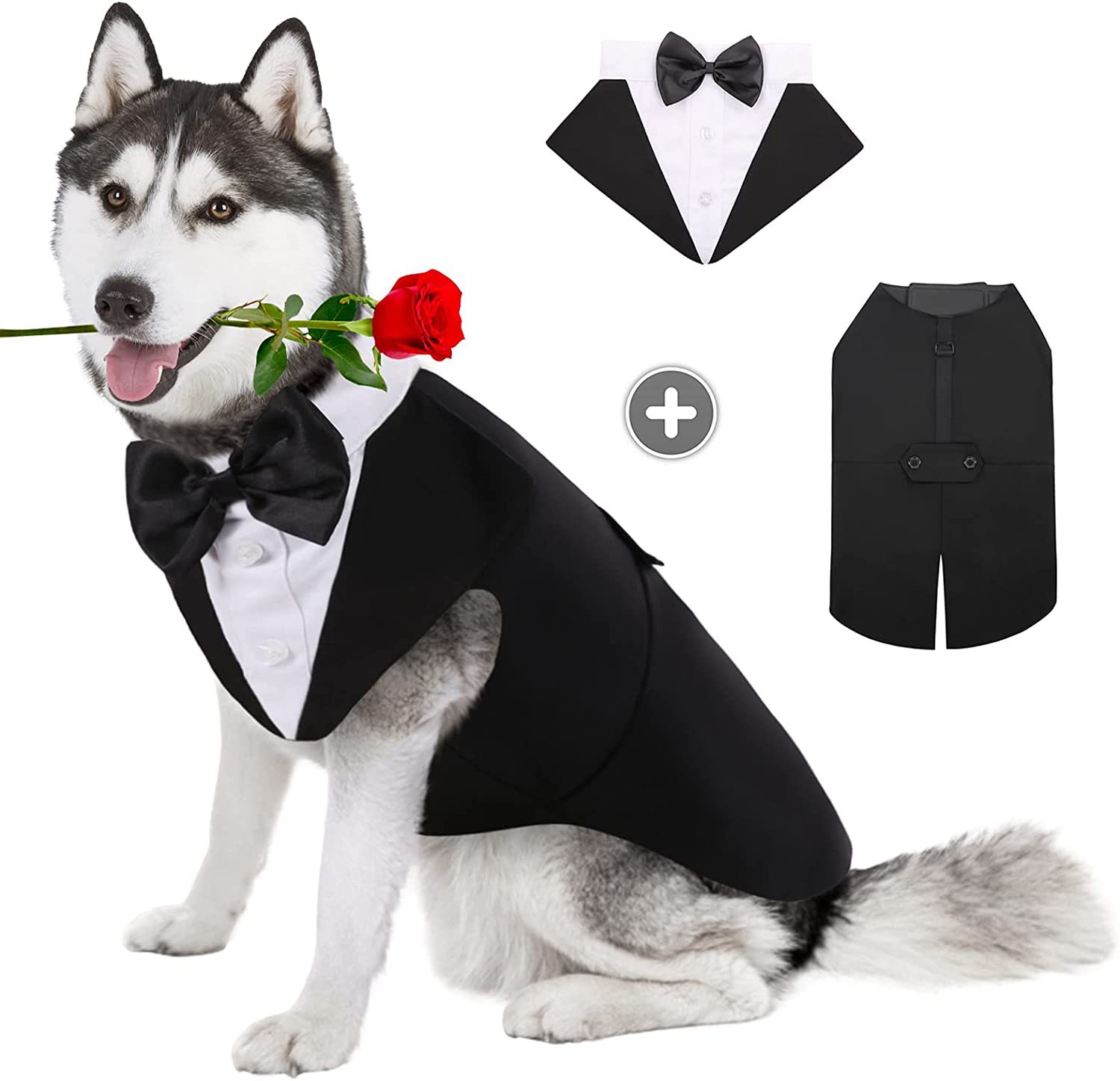 Suit Supply Wedding Party - Pakaian Anjing Peliharaan Mode Pesta Menunjukkan