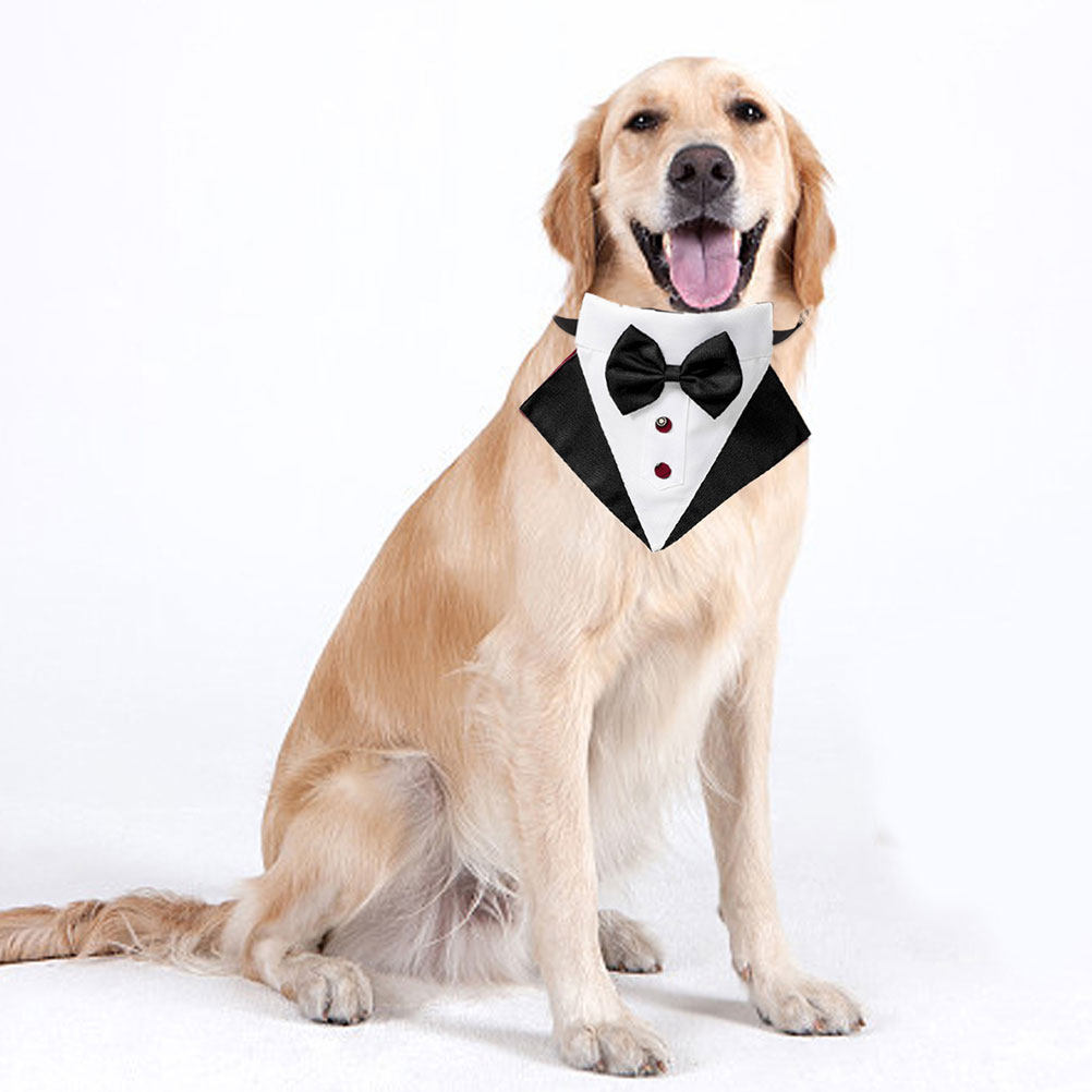 1Set Kostum Anjing dan Bandana - Suit Supply Wedding Party ulasan dan harga