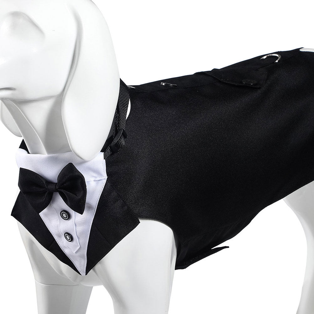 1Set Kostum Anjing dan Bandana - Suit Supply Wedding Party ulasan dan harga